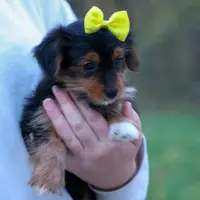 processed/40f33f9f-3846-4b64-9021-df6fcf3e0367/listing/46bdd073-5348-45ab-bcf2-980cdaca6a54/a45b97a9-ade5-4c79-affd-6e5db89cd982