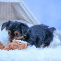 processed/40f33f9f-3846-4b64-9021-df6fcf3e0367/listing/46bdd073-5348-45ab-bcf2-980cdaca6a54/bc8020c9-f845-4bf8-8aef-f7148623d786