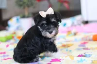 processed/40f33f9f-3846-4b64-9021-df6fcf3e0367/listing/87888b70-419b-4089-a0e0-40c6dc8b67fd/091d1bcf-baa7-4ca0-bf4b-56a9e5388f73