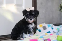 processed/40f33f9f-3846-4b64-9021-df6fcf3e0367/listing/87888b70-419b-4089-a0e0-40c6dc8b67fd/2d716ffe-ed29-4fd2-86c1-f2da022d5bdc