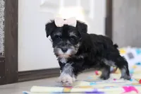 processed/40f33f9f-3846-4b64-9021-df6fcf3e0367/listing/87888b70-419b-4089-a0e0-40c6dc8b67fd/7e1c48fb-eeb5-4e2c-941e-6b532b21b048