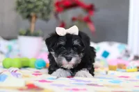 processed/40f33f9f-3846-4b64-9021-df6fcf3e0367/listing/87888b70-419b-4089-a0e0-40c6dc8b67fd/8a3fcae1-f72b-4105-b129-b5cf2c85b591