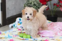 processed/40f33f9f-3846-4b64-9021-df6fcf3e0367/listing/970e41a9-3180-4a07-b455-f0ccdc755379/15a84ffc-a7d7-4c0a-bcb2-d5fbad468f56