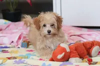 processed/40f33f9f-3846-4b64-9021-df6fcf3e0367/listing/970e41a9-3180-4a07-b455-f0ccdc755379/17d1eb63-f50d-456f-929f-19fe98946ec1