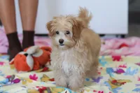 processed/40f33f9f-3846-4b64-9021-df6fcf3e0367/listing/970e41a9-3180-4a07-b455-f0ccdc755379/2bda3db4-4443-4a19-8326-725695f9345b