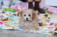 processed/40f33f9f-3846-4b64-9021-df6fcf3e0367/listing/970e41a9-3180-4a07-b455-f0ccdc755379/5f7583ff-1bfc-4f85-bb9f-f83603e92a78