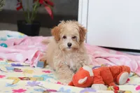 processed/40f33f9f-3846-4b64-9021-df6fcf3e0367/listing/970e41a9-3180-4a07-b455-f0ccdc755379/a5f5f5c7-4acf-4d68-83d0-ab5342630adf