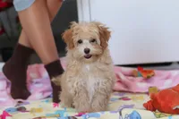 processed/40f33f9f-3846-4b64-9021-df6fcf3e0367/listing/970e41a9-3180-4a07-b455-f0ccdc755379/bc82b9b8-0fa3-4c66-9a71-801b9a994d9b