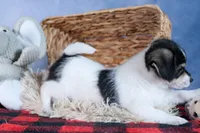 processed/40f33f9f-3846-4b64-9021-df6fcf3e0367/listing/b4a2f200-540a-4bbd-9092-62b666507830/1ad4a9e8-2fc9-4b74-b2e6-56e52c30dbcd