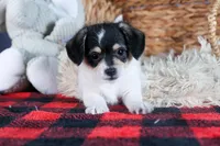 processed/40f33f9f-3846-4b64-9021-df6fcf3e0367/listing/b4a2f200-540a-4bbd-9092-62b666507830/30362ee4-c370-42a6-9b90-4f4b83160c7e