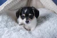 processed/40f33f9f-3846-4b64-9021-df6fcf3e0367/listing/b4a2f200-540a-4bbd-9092-62b666507830/a8f11368-e5e6-40b5-bc2e-3cb42e309265