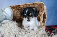 processed/40f33f9f-3846-4b64-9021-df6fcf3e0367/listing/b4a2f200-540a-4bbd-9092-62b666507830/ee3a24e1-83cf-40bb-9729-1c935696112c