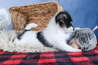 processed/40f33f9f-3846-4b64-9021-df6fcf3e0367/listing/b4a2f200-540a-4bbd-9092-62b666507830/fc90d680-5a68-42ee-a6ad-b70e941c2bdb