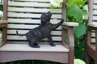 Moose 🐶, a male Staffordshire Bull Terrier for sale in Fresno, OH – 4 of 10