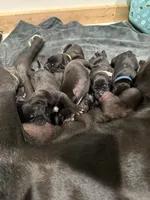 processed/40fa7835-3a2c-402e-9e48-1832bfdbf014/facility/02eb73a0-a172-4cd5-841b-f05e6460e463