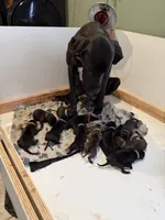 processed/40fa7835-3a2c-402e-9e48-1832bfdbf014/facility/756cc9f4-7064-4d90-9e10-c7f12906718d