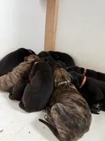 processed/40fa7835-3a2c-402e-9e48-1832bfdbf014/facility/8152ce87-c0fb-47e5-8a6e-7538586d14ad