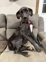 processed/40fa7835-3a2c-402e-9e48-1832bfdbf014/facility/8bf1b64d-43cc-4813-bd0e-ba9b915d36ed