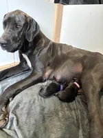 processed/40fa7835-3a2c-402e-9e48-1832bfdbf014/facility/90830970-e2ab-494f-9fb1-ee718bda79df