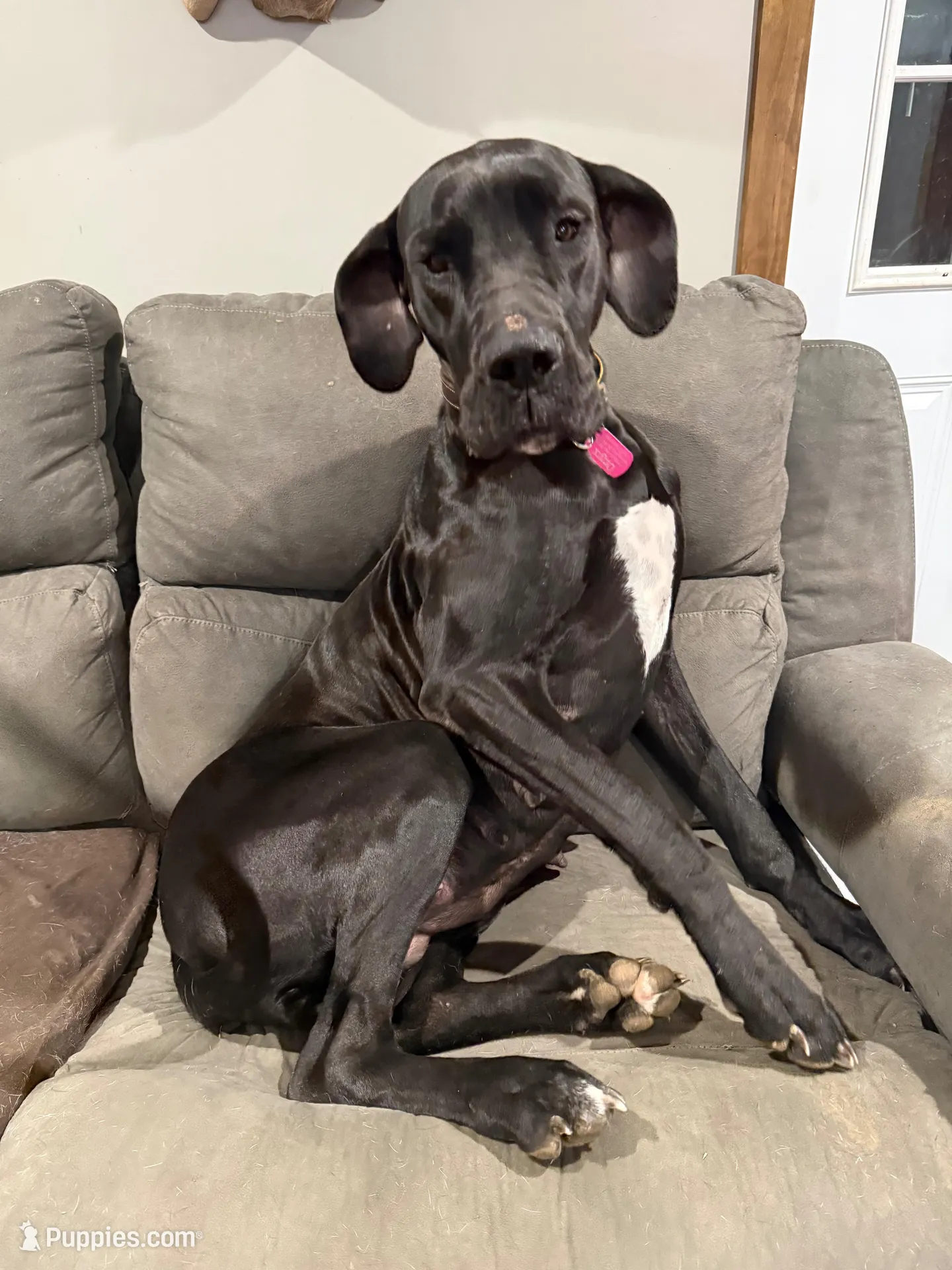 processed/40fa7835-3a2c-402e-9e48-1832bfdbf014/facility/a881e3b9-7911-4f52-a2f0-267e14e14d5e