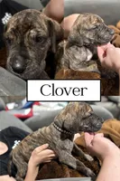 processed/40fa7835-3a2c-402e-9e48-1832bfdbf014/facility/ad85903d-dd00-44e4-b31e-aecf6adbd67b