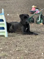 processed/40fa7835-3a2c-402e-9e48-1832bfdbf014/facility/de3e8937-bf6b-4c7f-8279-f63c5c694127