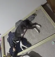 processed/4113c8c7-c9b3-4652-899d-31f7dd646e72/facility/6ba3e320-3802-4546-959c-b1ccd012a92c