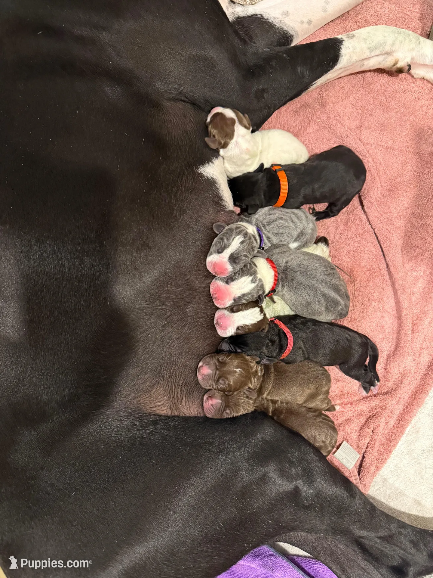 processed/4113c8c7-c9b3-4652-899d-31f7dd646e72/facility/e0990de7-c041-4973-91bd-0305b462dd02