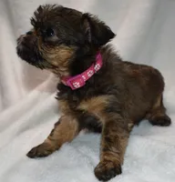 processed/41385701-4da1-4330-acd6-d4be7123112f/listing/2a43aed2-e186-4ef4-8b70-697230e0ec83/4a02ce0c-b4dd-481f-b022-d2e5257258e0