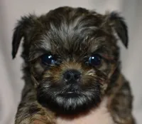 processed/41385701-4da1-4330-acd6-d4be7123112f/listing/2a43aed2-e186-4ef4-8b70-697230e0ec83/4b7c6137-46ad-4d9b-be0b-efac625b792a