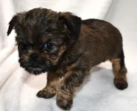 processed/41385701-4da1-4330-acd6-d4be7123112f/listing/2a43aed2-e186-4ef4-8b70-697230e0ec83/55485f6a-d2f7-4d7e-8b1d-a89465ff1426