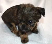 processed/41385701-4da1-4330-acd6-d4be7123112f/listing/2a43aed2-e186-4ef4-8b70-697230e0ec83/7439c086-d093-4438-91ed-78dac6139f9f