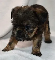 processed/41385701-4da1-4330-acd6-d4be7123112f/listing/2a43aed2-e186-4ef4-8b70-697230e0ec83/a4c606bc-8078-4d6e-a346-8512feebe378