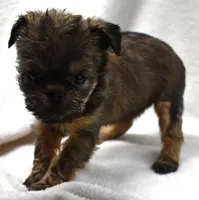 processed/41385701-4da1-4330-acd6-d4be7123112f/listing/2a43aed2-e186-4ef4-8b70-697230e0ec83/ba687bc3-bbca-49f5-aead-f556e0fc3f2d