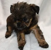 processed/41385701-4da1-4330-acd6-d4be7123112f/listing/2a43aed2-e186-4ef4-8b70-697230e0ec83/bc894694-6127-4615-a952-9acc79203495