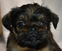 processed/41385701-4da1-4330-acd6-d4be7123112f/listing/89718164-dee3-4047-9494-d489236d1622/3af26f22-12f4-4ce5-8e56-8d4574452d9b