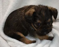 processed/41385701-4da1-4330-acd6-d4be7123112f/listing/89718164-dee3-4047-9494-d489236d1622/625b5888-be9f-4113-8366-edd1b73d2bf7