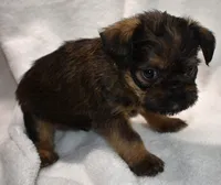 processed/41385701-4da1-4330-acd6-d4be7123112f/listing/89718164-dee3-4047-9494-d489236d1622/73668c52-4ae5-401e-b80b-f8c9e6c1f14e