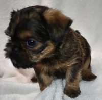 processed/41385701-4da1-4330-acd6-d4be7123112f/listing/89718164-dee3-4047-9494-d489236d1622/7d39af06-2079-45d5-9cb5-2eb7f0a7baa6