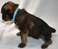 processed/41385701-4da1-4330-acd6-d4be7123112f/listing/89718164-dee3-4047-9494-d489236d1622/cfa2c7f0-8464-4bce-98ca-ea4c41d945f8