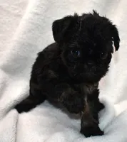 processed/41385701-4da1-4330-acd6-d4be7123112f/listing/c3a282fa-4f95-43be-ab84-1eb404f493da/5191e8ac-fdf4-44d1-9ec3-c3d959ff9a25