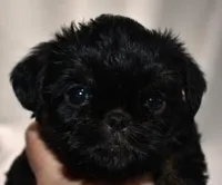 processed/41385701-4da1-4330-acd6-d4be7123112f/listing/c3a282fa-4f95-43be-ab84-1eb404f493da/7c353680-d05d-4a1d-af27-2e18da28030e