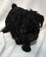 processed/41385701-4da1-4330-acd6-d4be7123112f/listing/c3a282fa-4f95-43be-ab84-1eb404f493da/80eed9a3-4e9b-43cd-af5c-8616e508d29a