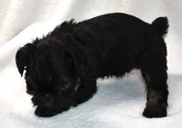 processed/41385701-4da1-4330-acd6-d4be7123112f/listing/c3a282fa-4f95-43be-ab84-1eb404f493da/a4ae0f02-2faa-4426-9bb0-59ea5af47235