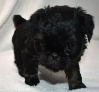 processed/41385701-4da1-4330-acd6-d4be7123112f/listing/c3a282fa-4f95-43be-ab84-1eb404f493da/e80b1c37-026b-48e2-82b6-2abd6e1d98de