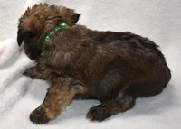 processed/41385701-4da1-4330-acd6-d4be7123112f/listing/f1afdcae-efa5-4c4d-8790-b1d59c472ff7/034824de-07fc-4aaf-b347-d3bc508bfb3a