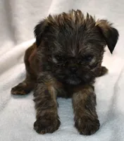 processed/41385701-4da1-4330-acd6-d4be7123112f/listing/f1afdcae-efa5-4c4d-8790-b1d59c472ff7/19626b42-89e7-414b-bb18-0a21c6431474