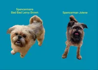 processed/41385701-4da1-4330-acd6-d4be7123112f/listing/f1afdcae-efa5-4c4d-8790-b1d59c472ff7/2bfdf81a-421c-443a-9c79-5208cfae31c2