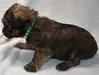 processed/41385701-4da1-4330-acd6-d4be7123112f/listing/f1afdcae-efa5-4c4d-8790-b1d59c472ff7/301002cc-6f64-47cf-b50a-d36fa7e5ebea