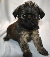 processed/41385701-4da1-4330-acd6-d4be7123112f/listing/f1afdcae-efa5-4c4d-8790-b1d59c472ff7/5cb48dca-4071-451c-a1a2-e97f7aa96f5c